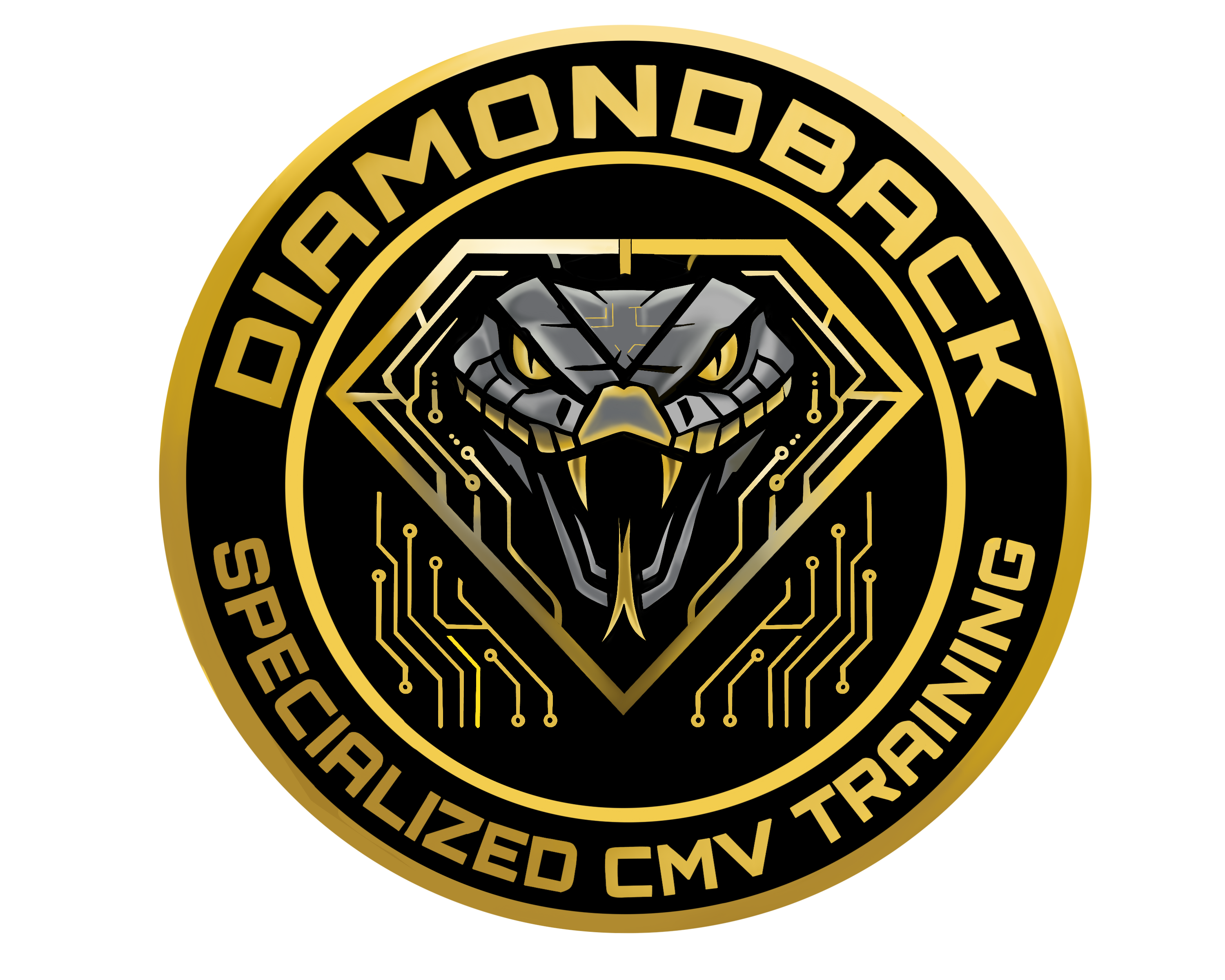 Diamondback Training